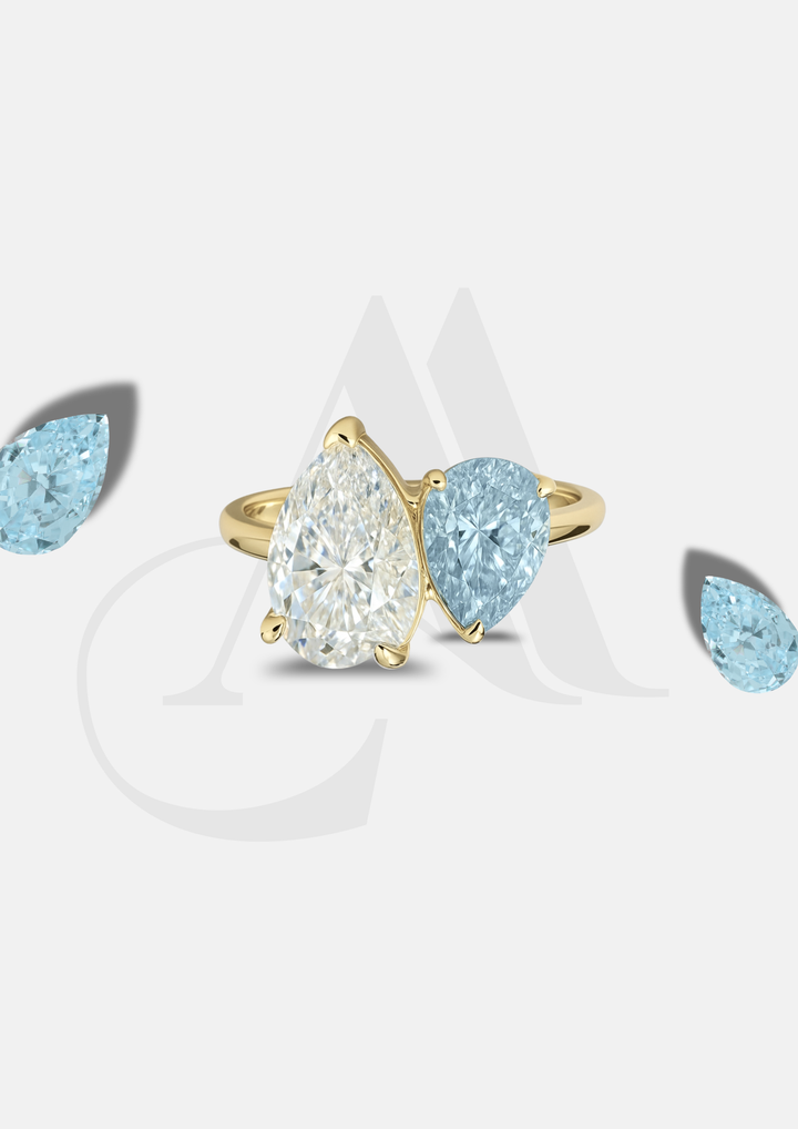 The "You & Me" Leonella Birth Month Ring Gold